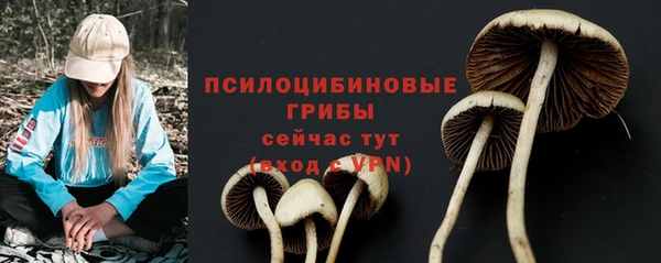 ECSTASY Всеволожск