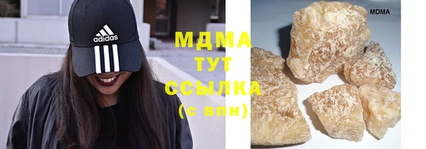 МДПВ Бородино