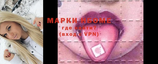 МДПВ Бородино
