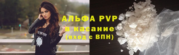 МДПВ Бородино