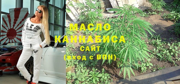 МДПВ Бородино