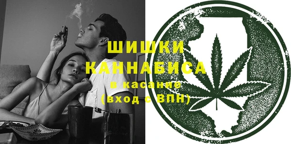 МДПВ Бородино