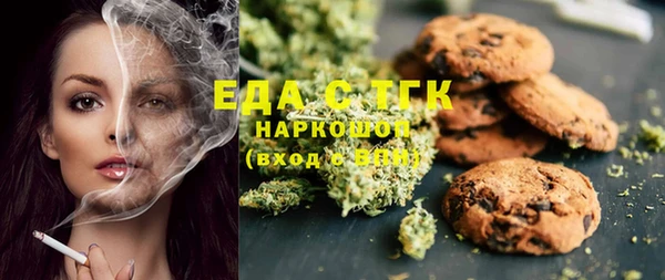 МДПВ Бородино
