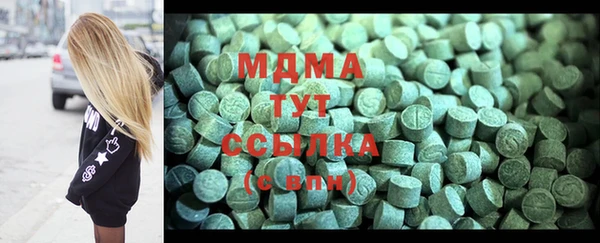 МДПВ Бородино