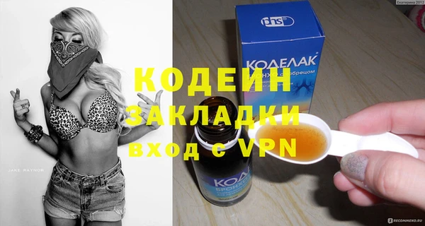 МДПВ Бородино