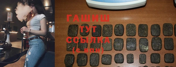МДПВ Бородино