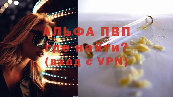 МДПВ Бородино
