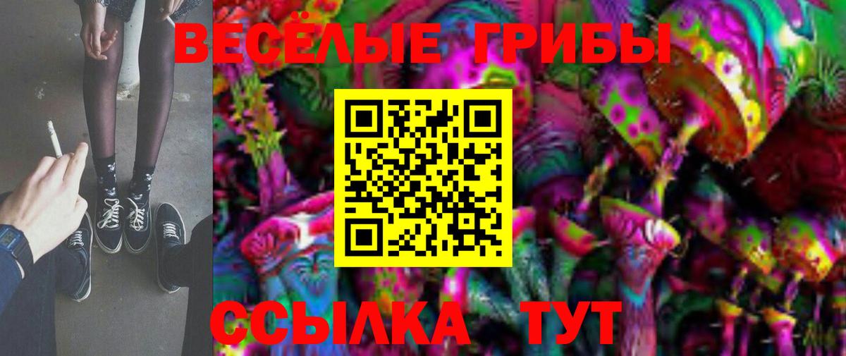 Галлюциногенные грибы прущие грибы Борисоглебск