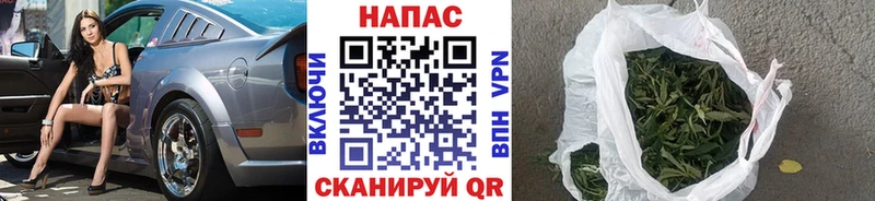Шишки марихуана семена  Борисоглебск 