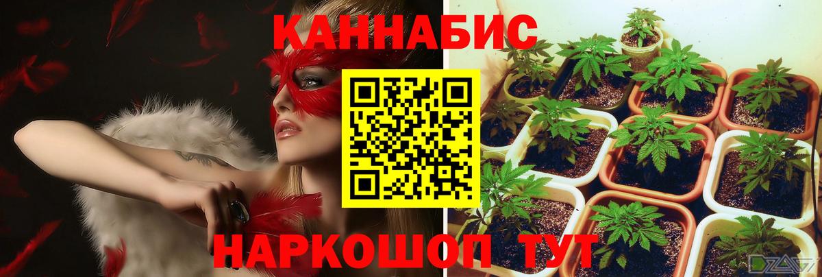 Бошки марихуана планчик  Каннабис тримм  Борисоглебск  МАРИХУАНА марихуана  Вход с VPN 